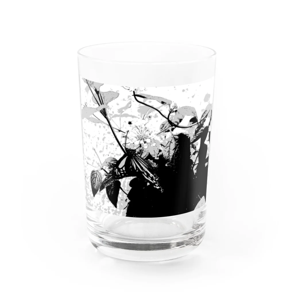 nekoのアオスジアゲハ Water Glass :front