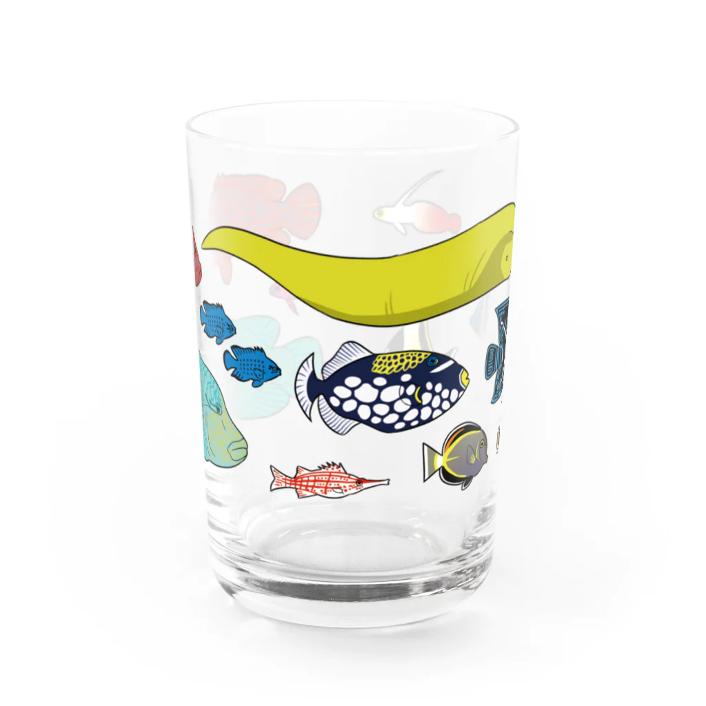 kasugaDNの海水！熱帯魚グラス/color Water Glass :front