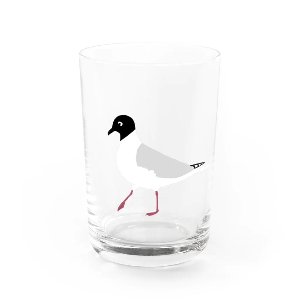 minatoriのズグロカモメ Water Glass :front