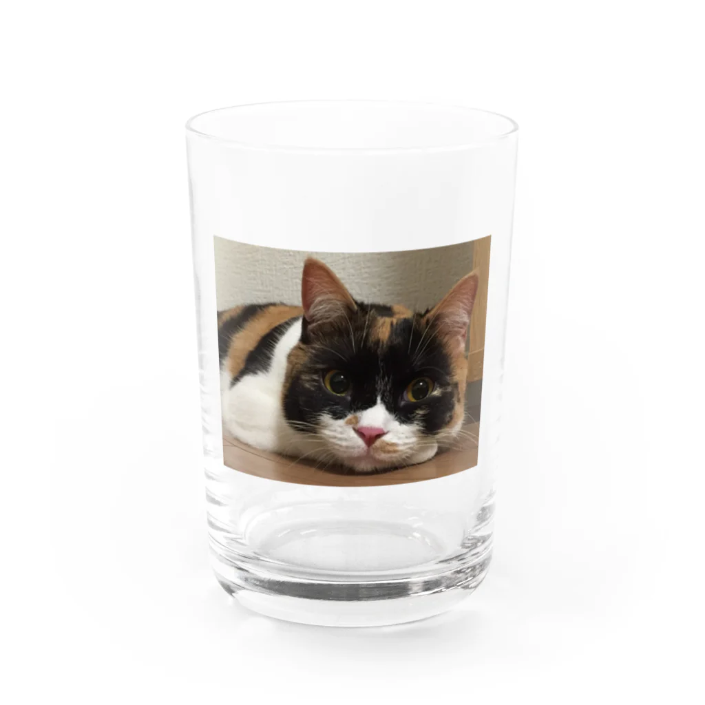 りーたんのんたんのりーたん Water Glass :front