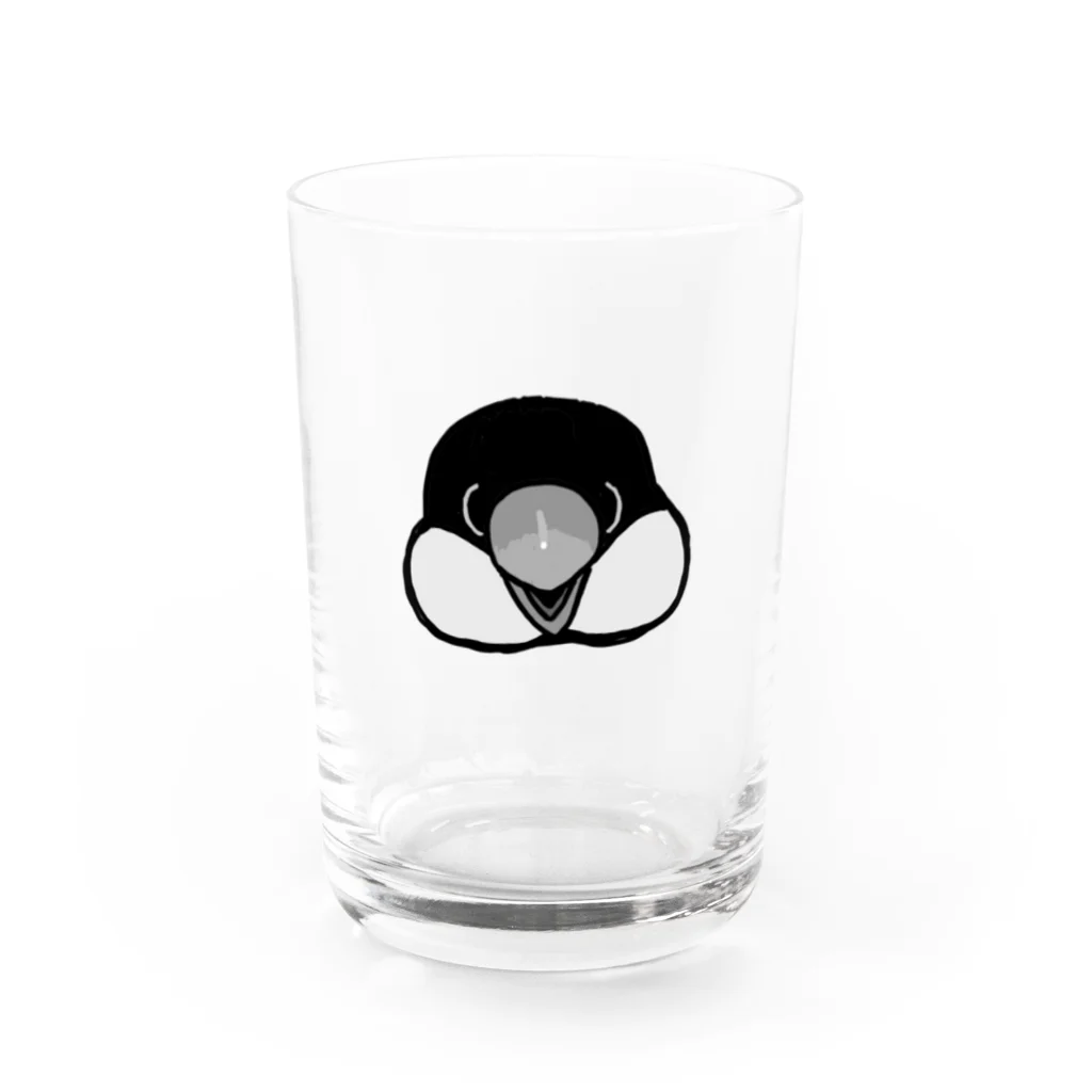 出内テツオの好物を見つけた桜文鳥 Water Glass :front