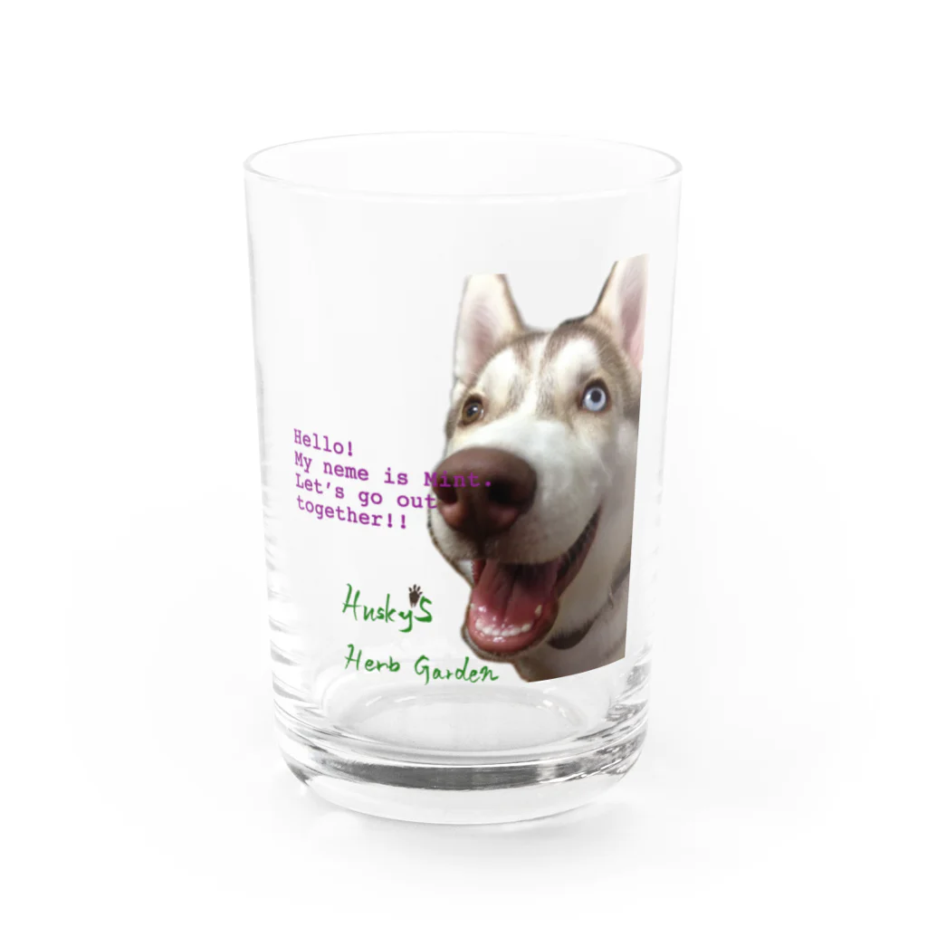 Husky'S Herb Gardenのやぁ、ミント！ Water Glass :front