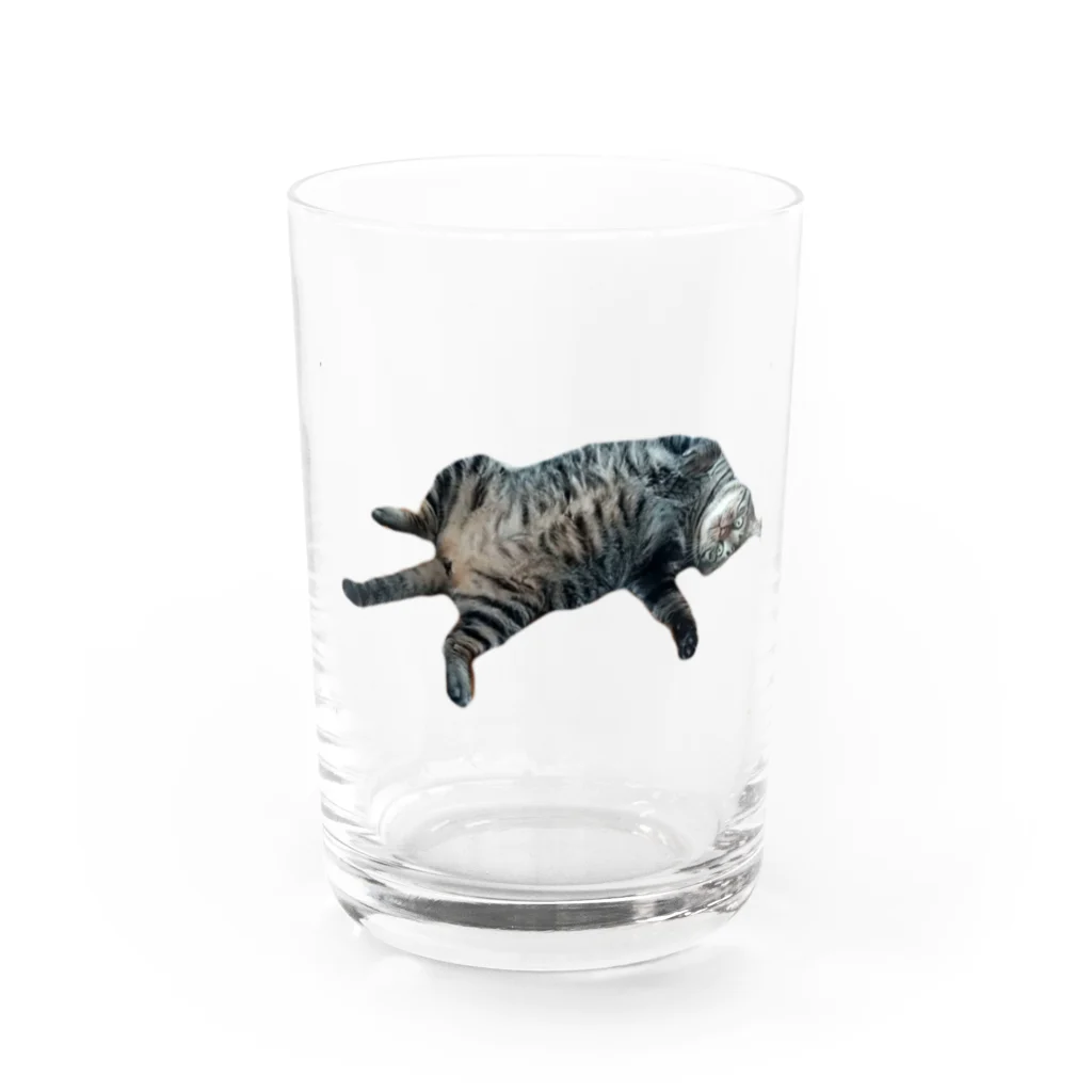 k_iの猫の空くん Water Glass :front