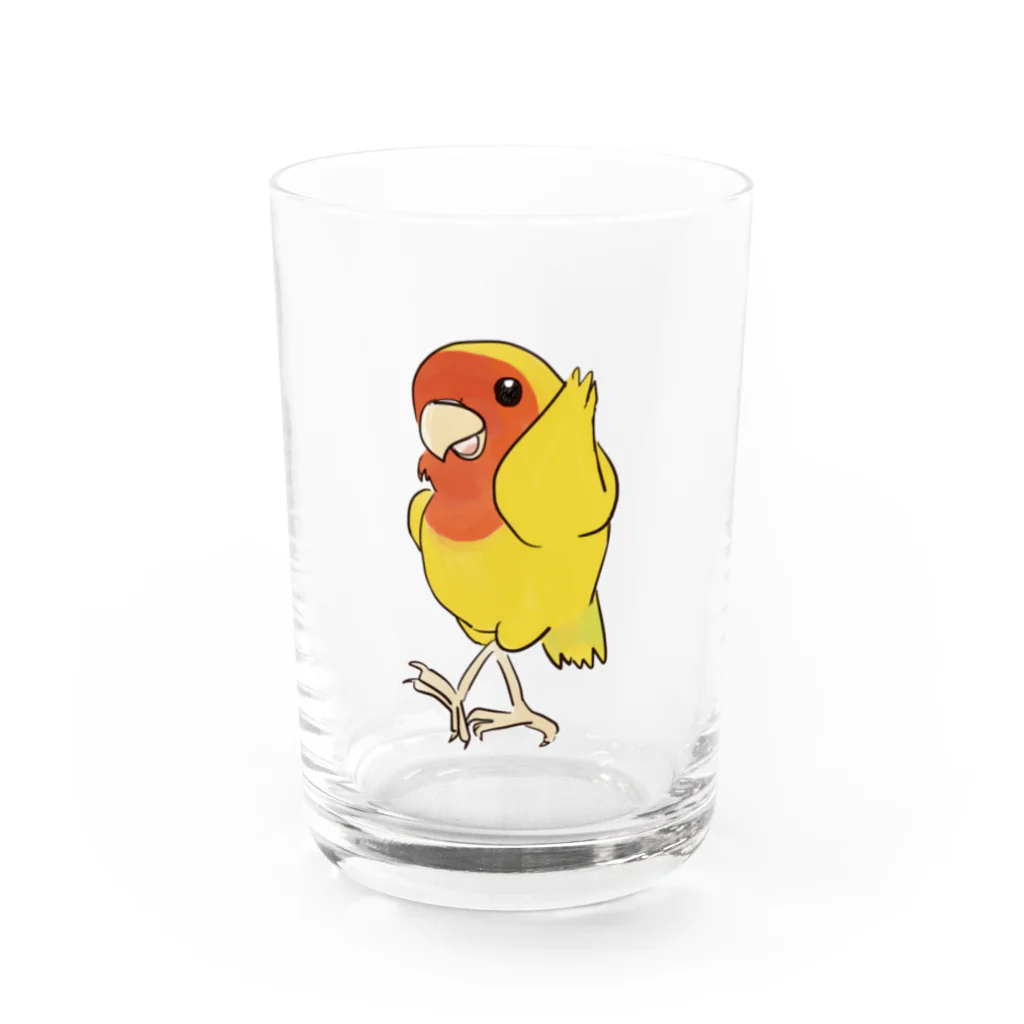 インコグッズのお店　ラブバード亭のコザクラインコ（ダンシング） Water Glass :front