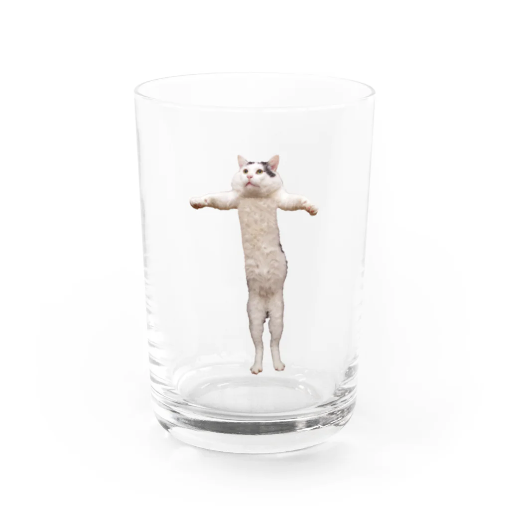 kachimo本舗の持ち上げナナクロ Water Glass :front