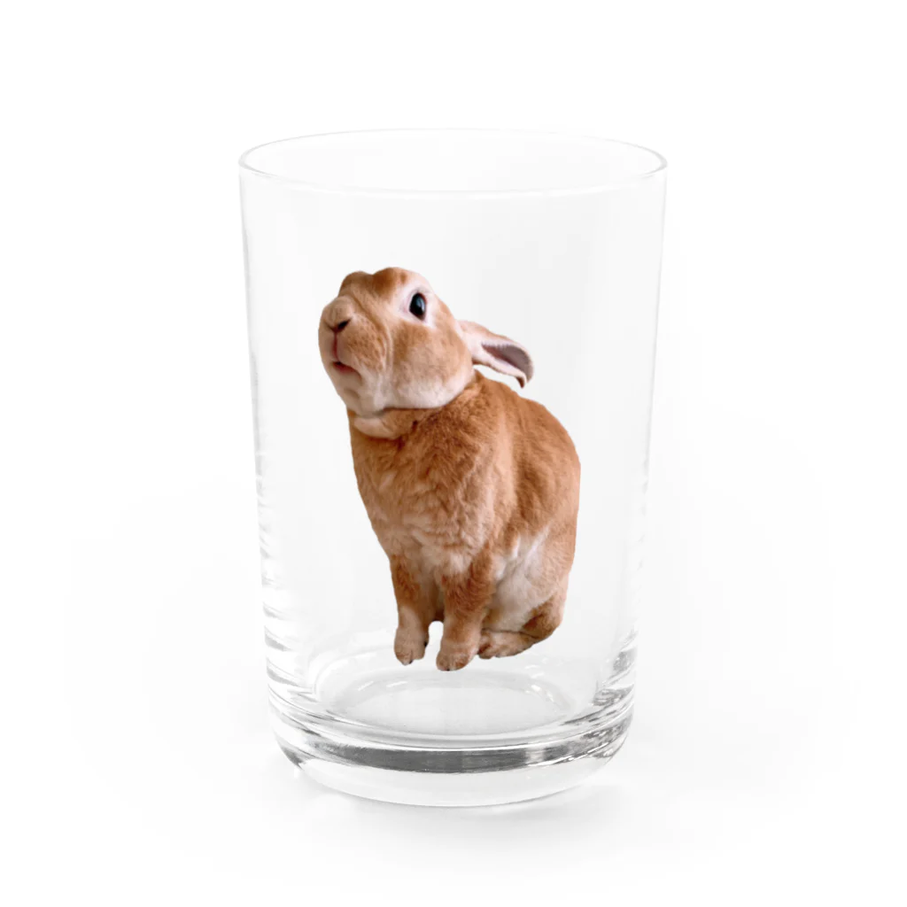 ファッションセンターつぶあんのつぶあんグラス Water Glass :front