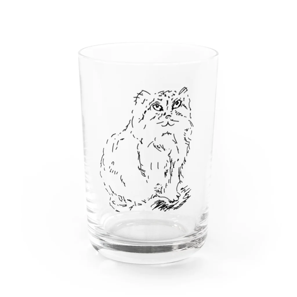 露店そなえ解放区のマヌルネコ Water Glass :front