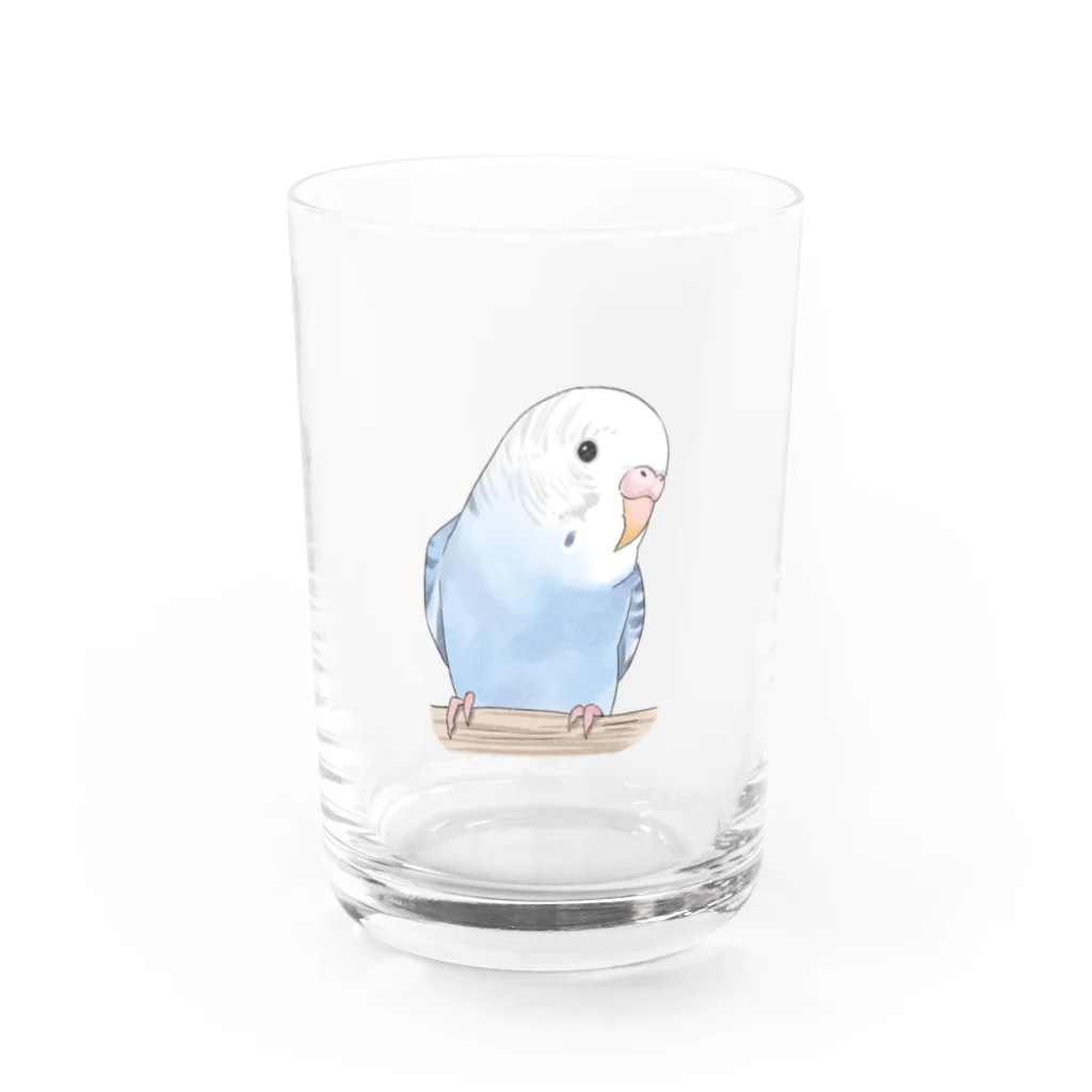 まめるりはことりのおしゃまな止まり木セキセイインコちゃん【まめるりはことり】 Water Glass :front