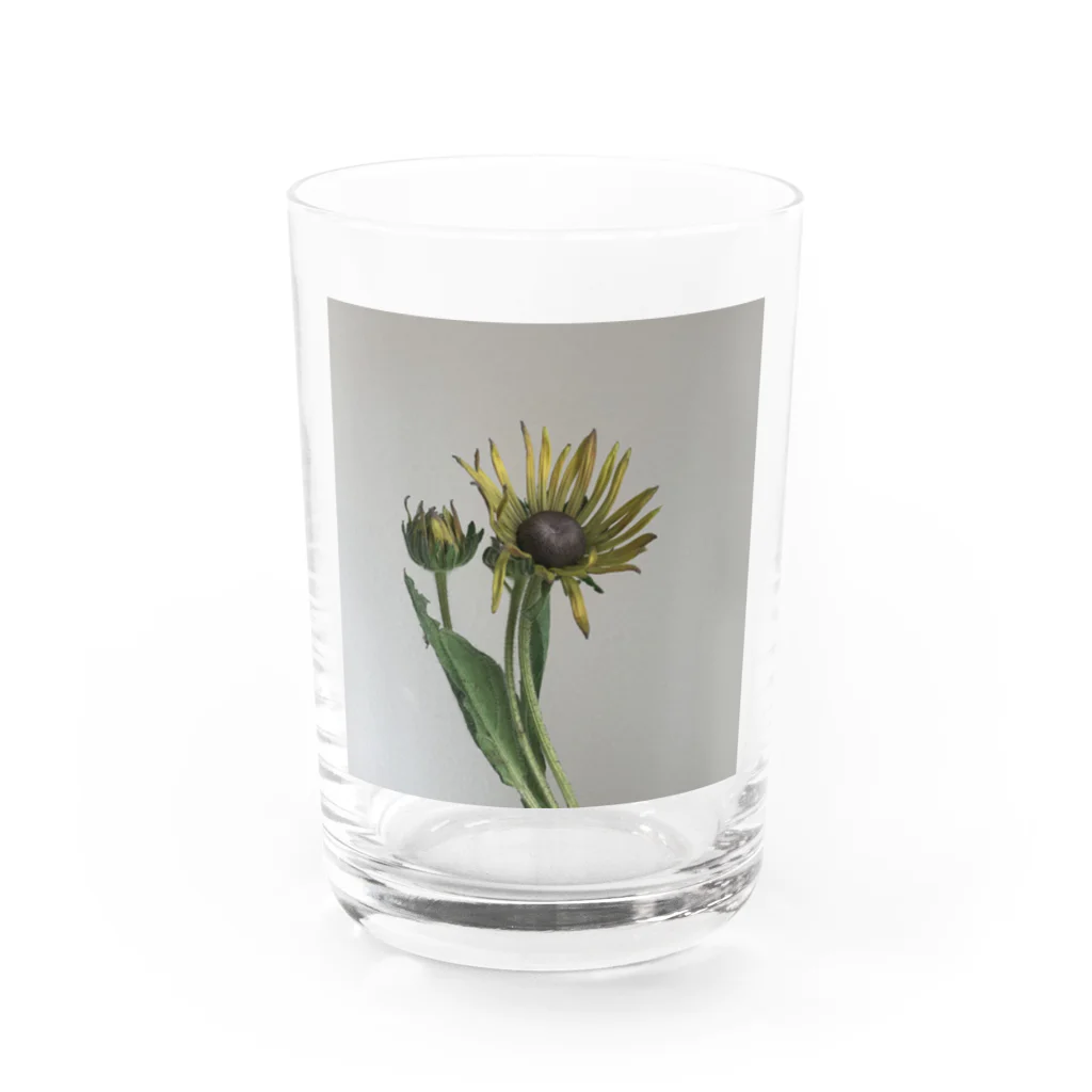 はづきのエレクトラショック Water Glass :front