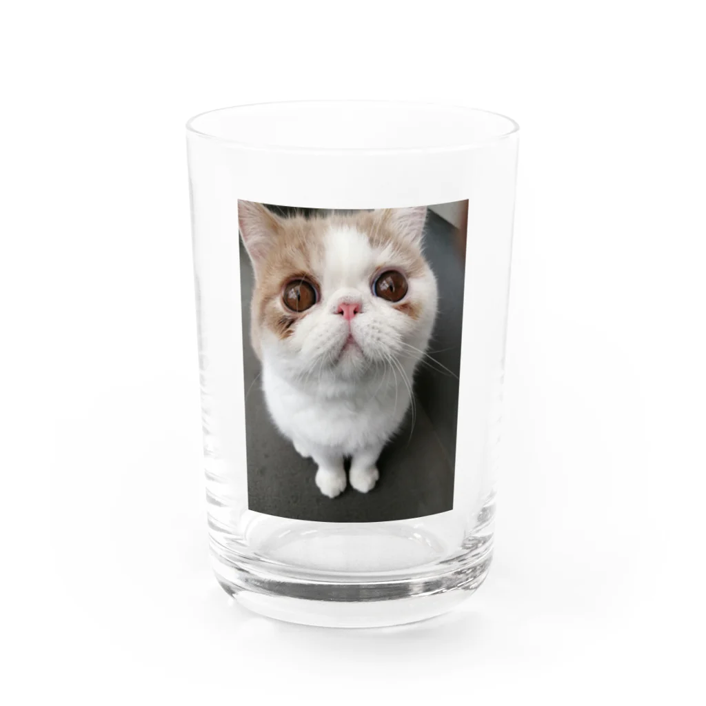 エキゾのアルのエキゾのアルくん2 Water Glass :front