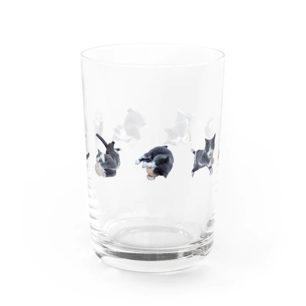 falfalの転がるファルファル01 Water Glass :front