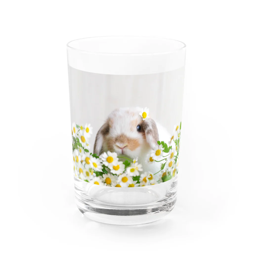 Chouchou Rabiのお花とうさぎ Water Glass :front