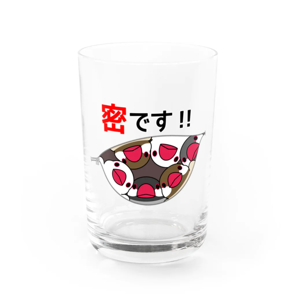 まめるりはことりの密です！文鳥さん【まめるりはことり】 Water Glass :front