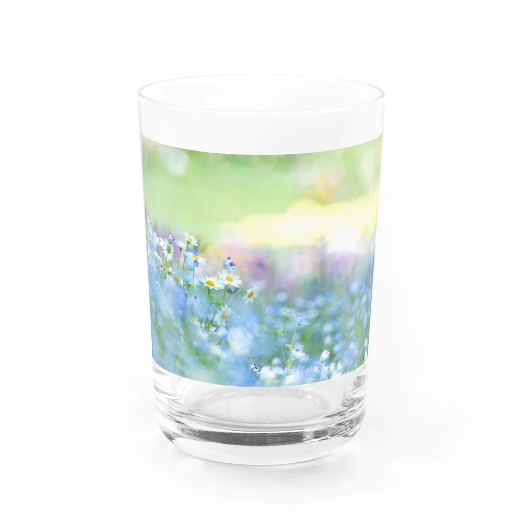 mayの春の花園 Water Glass :front