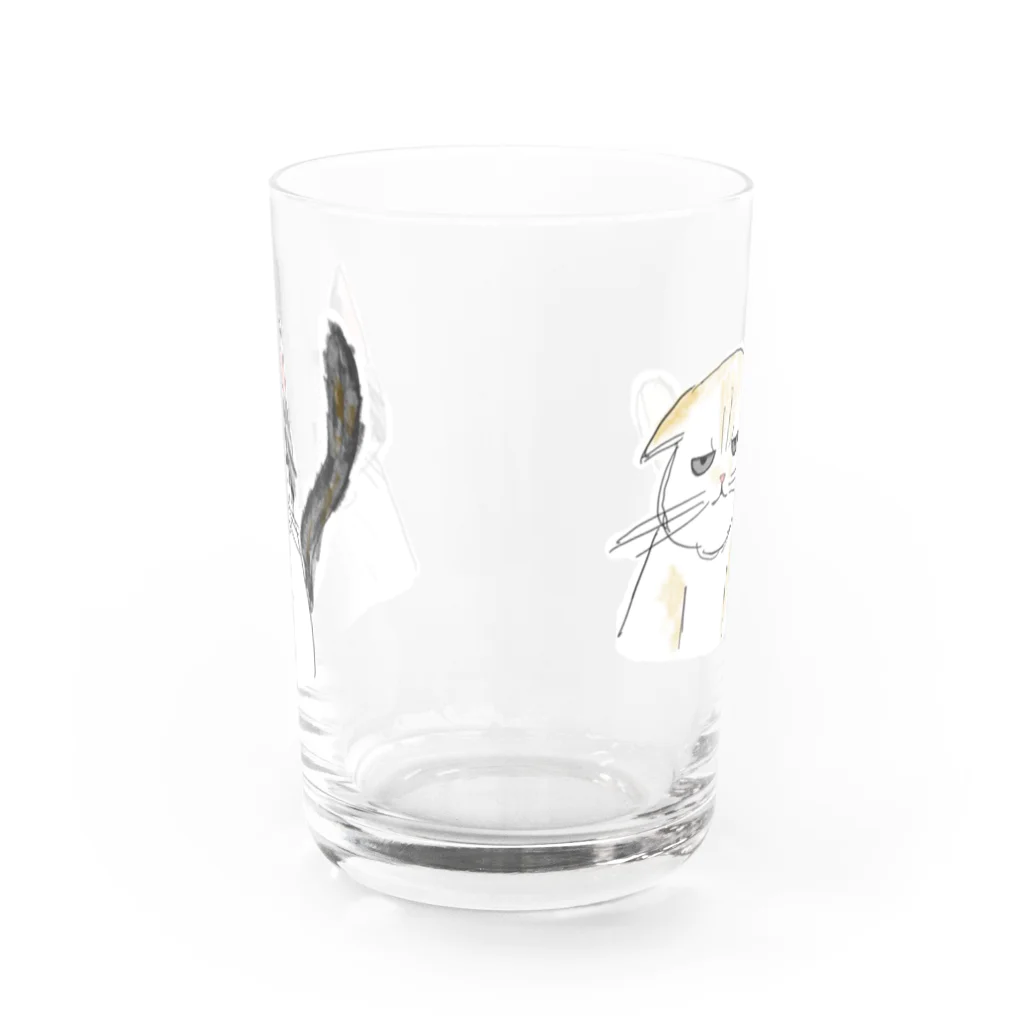 丸太猫のふてぶてしい顔の猫のつがい Water Glass :front