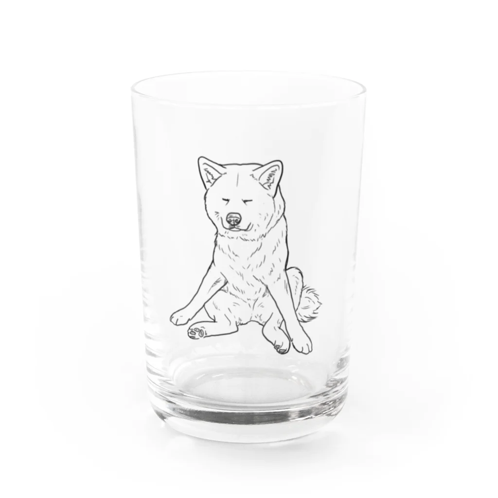 春風工房の秋田犬の小梅さん Water Glass :front