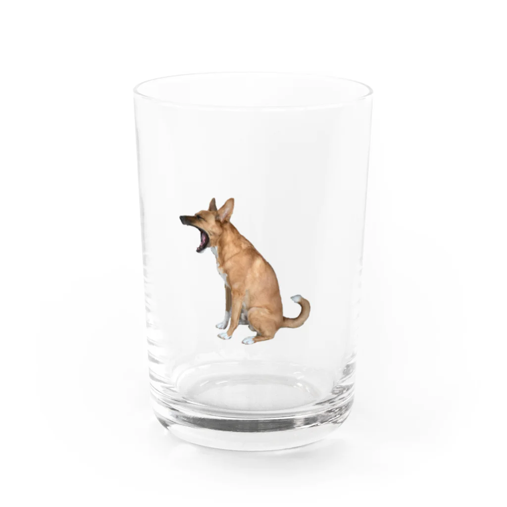 ばぶのあくびーぬ Water Glass :front