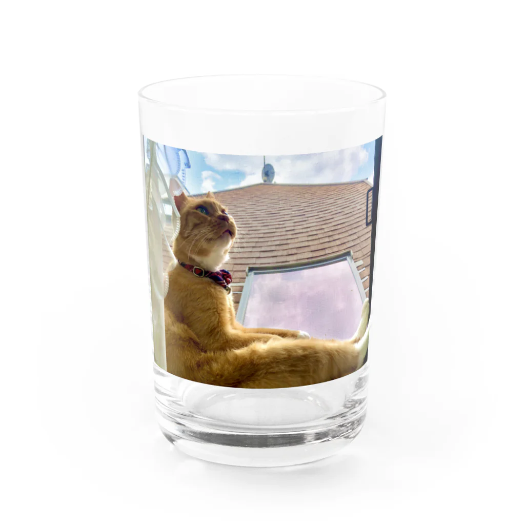 にゃんず笑福邸のにゃんず笑福邸(笑ver) Water Glass :front