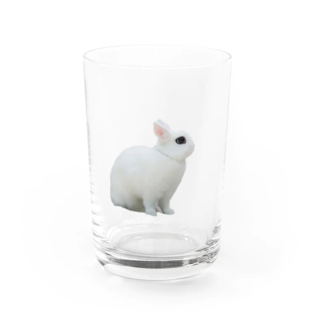 はるさめ商店のよこむきはるさめちゃん Water Glass :front