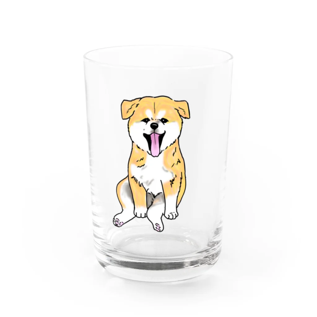 春風工房の秋田犬のおすわり仔犬 Water Glass :front