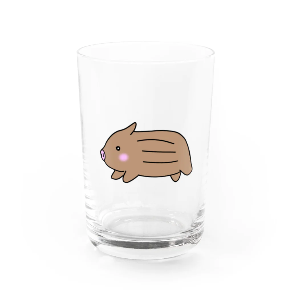 ほぼ動物園のうりぼう Water Glass :front