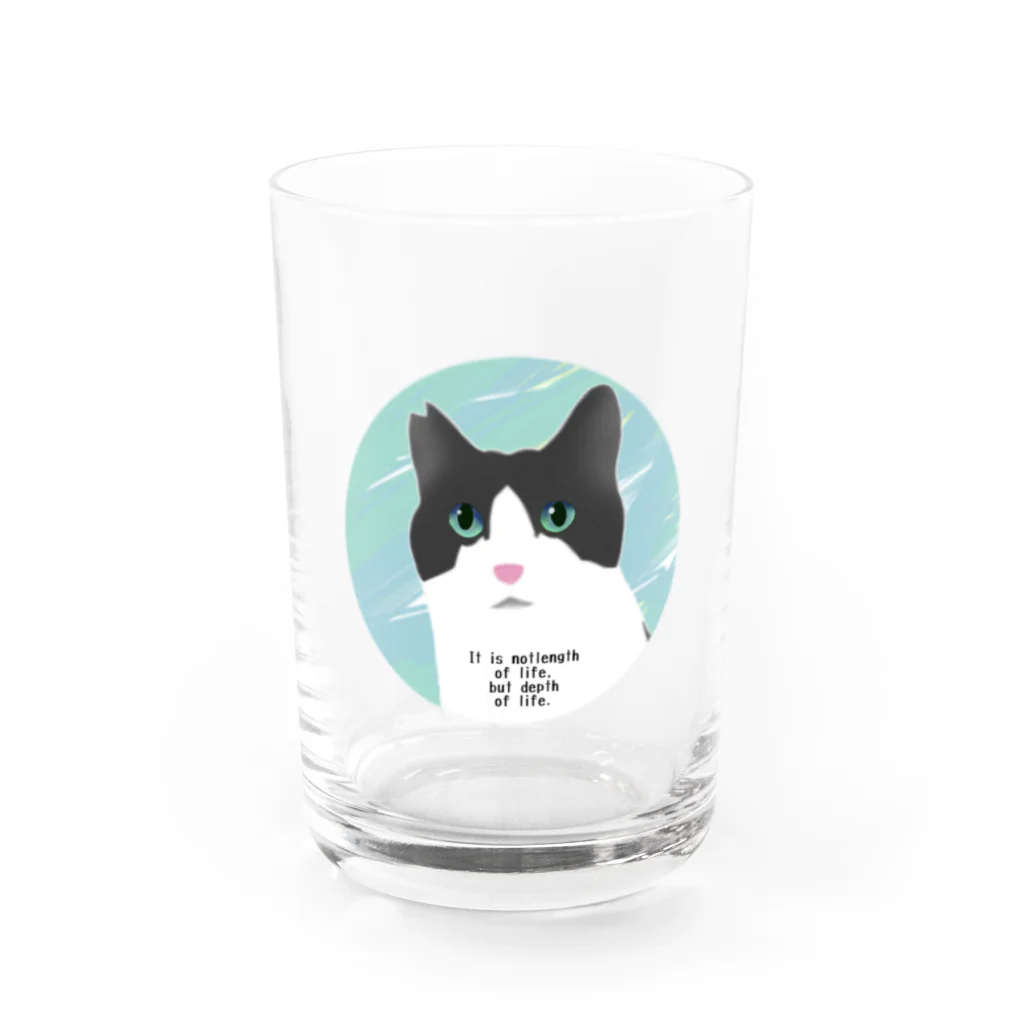 ひげ猫マリオのハチワレ猫山さん2 Water Glass :front