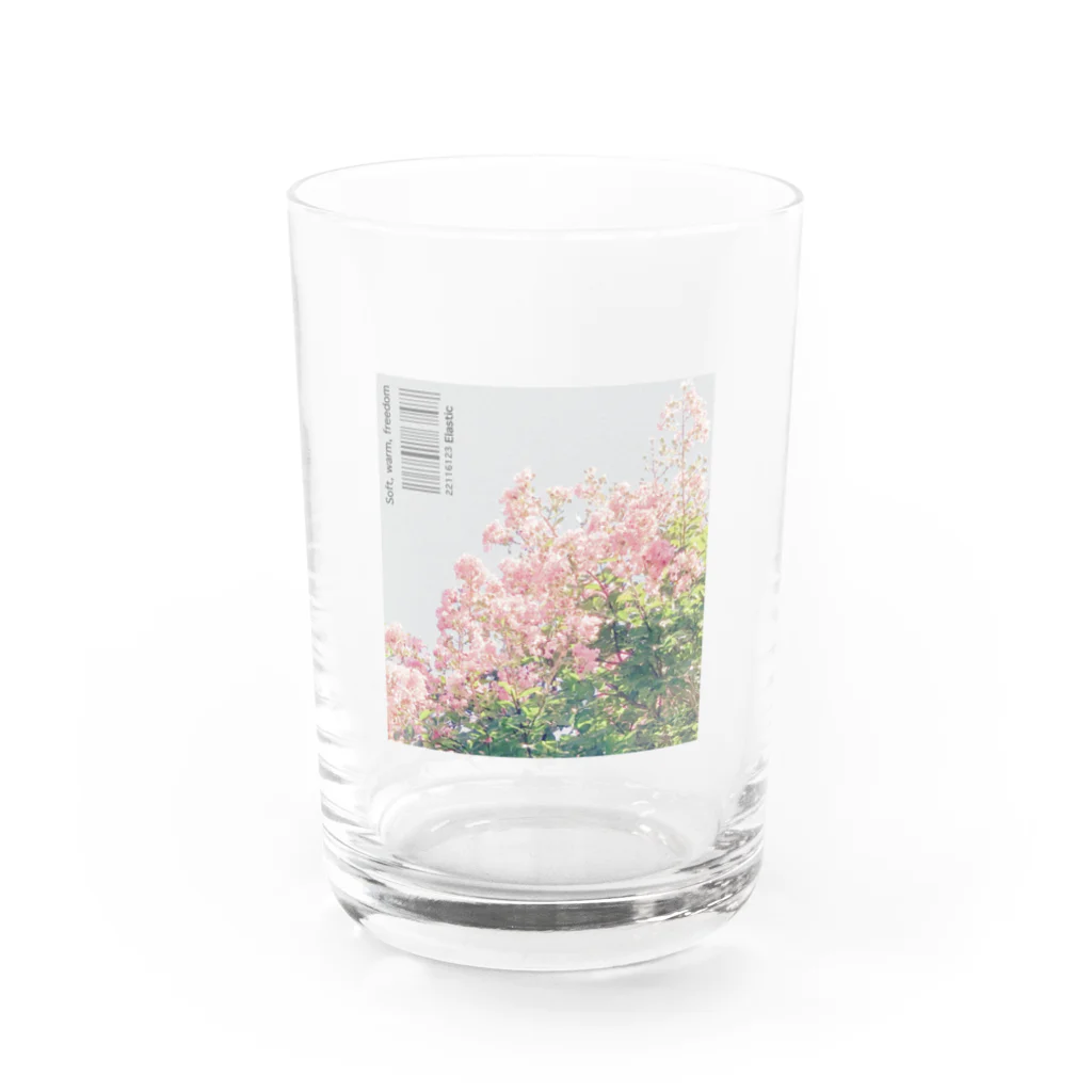 ELASTICの百日紅 Water Glass :front