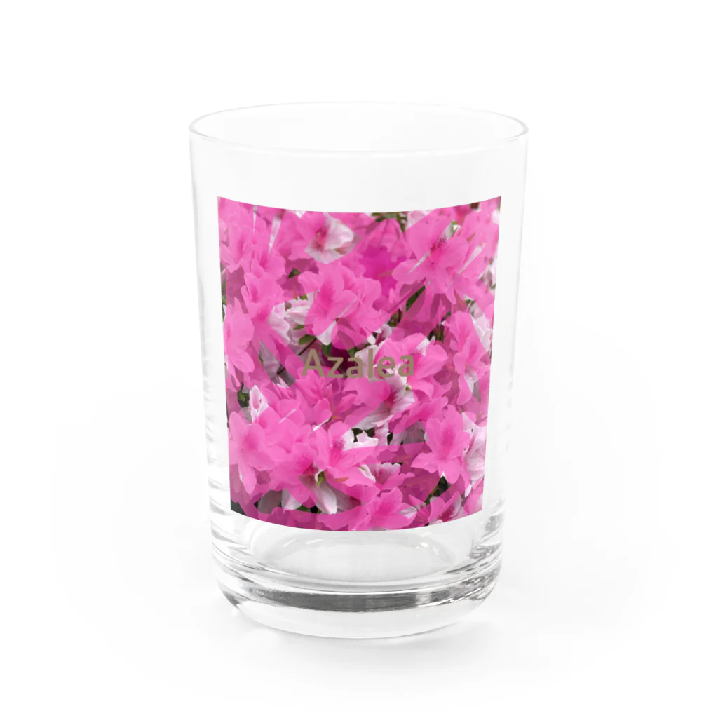 gumiのカモフラージュツツジ Water Glass :front