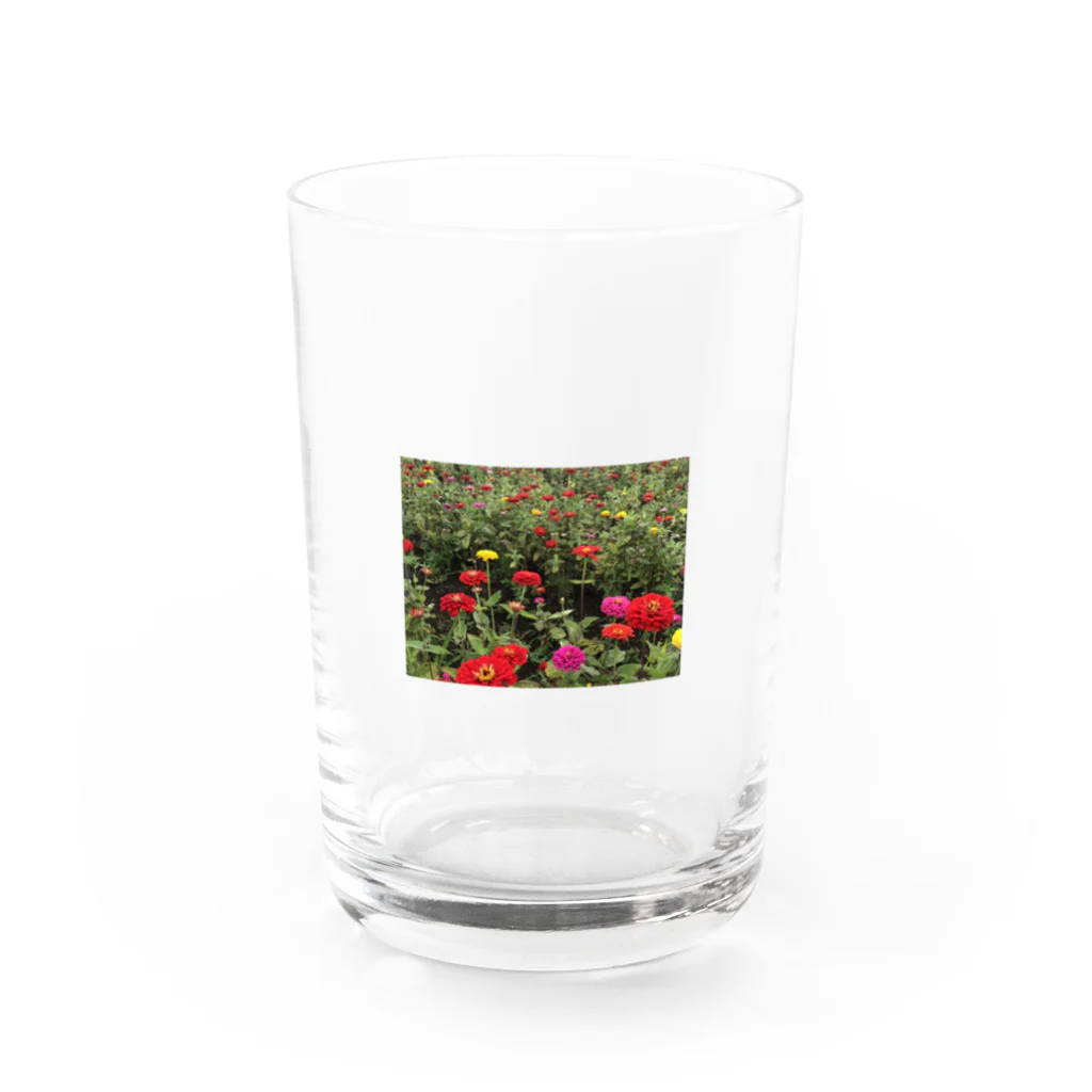 ﾂ--ﾂ--ﾂ--のakaihana Water Glass :front