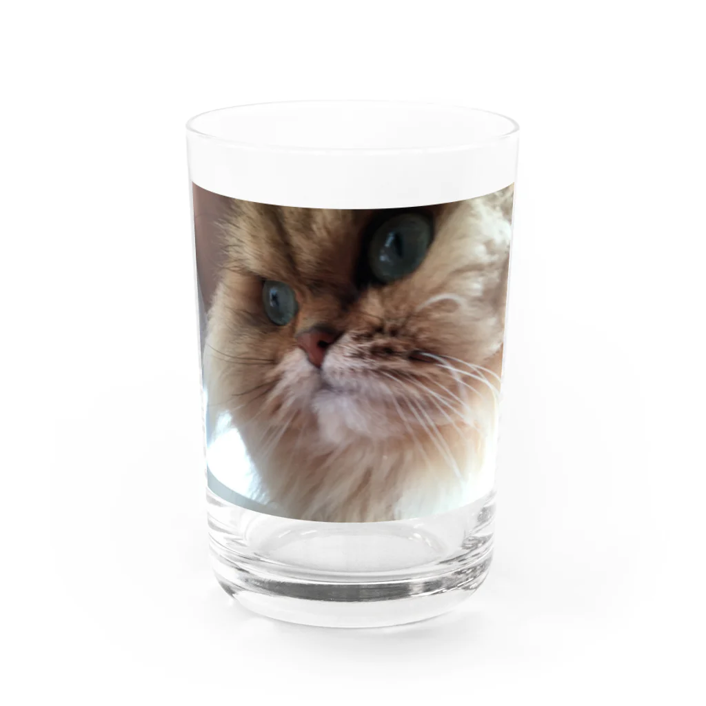 おもちショップのおもち Water Glass :front