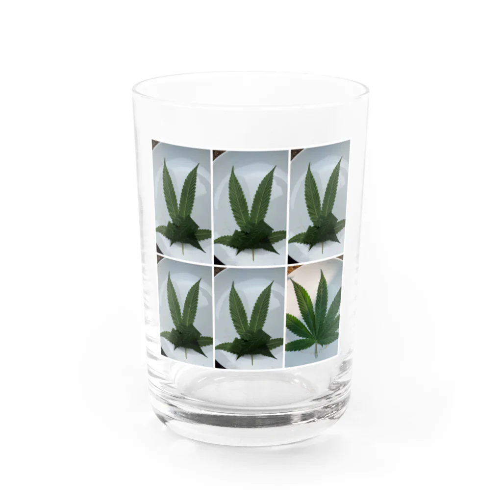 weneedweed1988@(日本人)大麻取締法に挑む。のWe need peace.  Water Glass :front