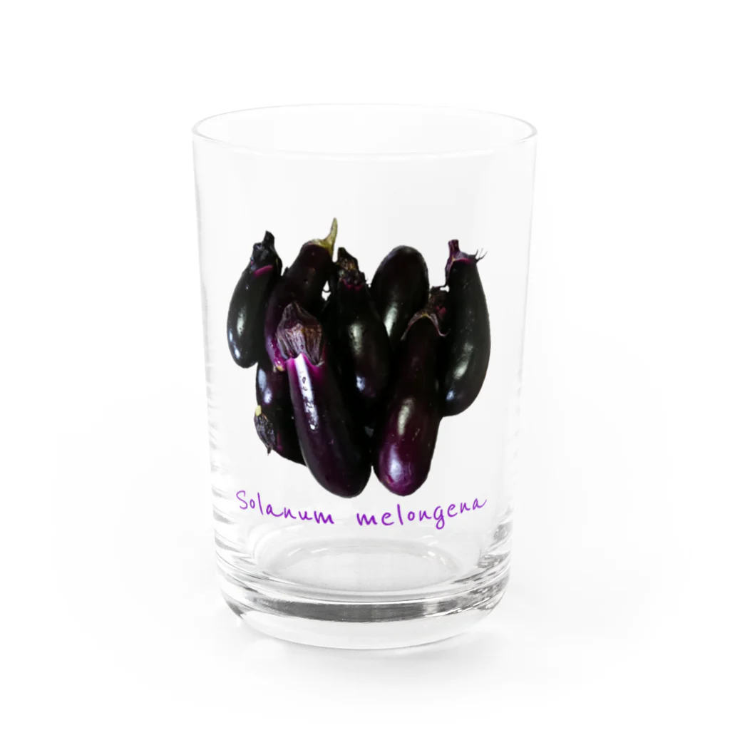 でおきしりぼ子の実験室の進撃の秋茄子🍆 Water Glass :front