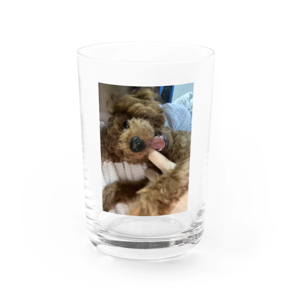 Tsukinomanjirouのかみかみハンニバル Water Glass :front