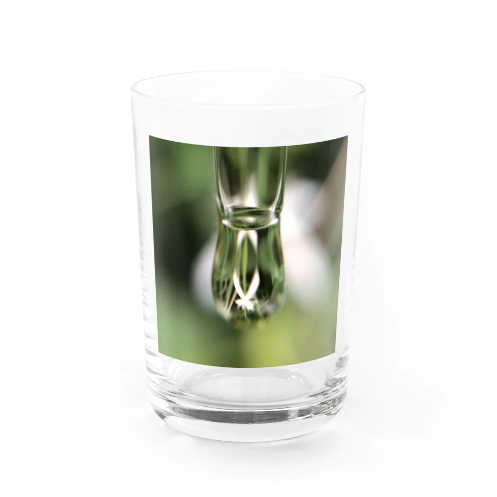 Mumearth Essenceのへんしん Water Glass :front