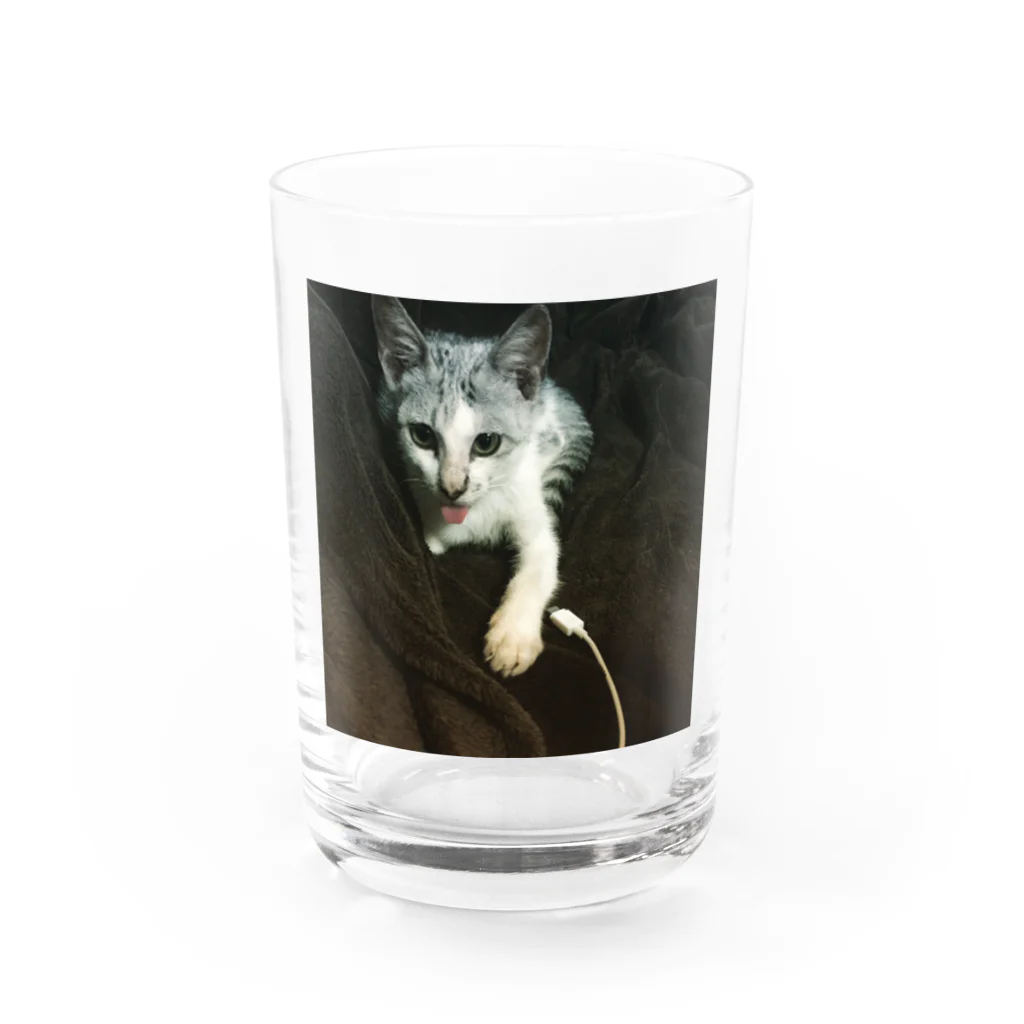 maya-jasmineのLove my プーチン Water Glass :front