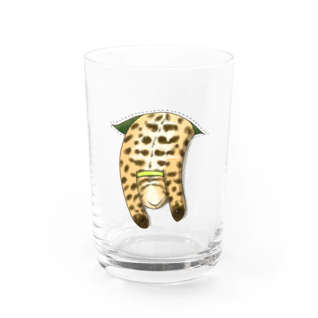 氷守トッカのほとばしる猫愛SHOPのにょりーんベンガル Water Glass :front