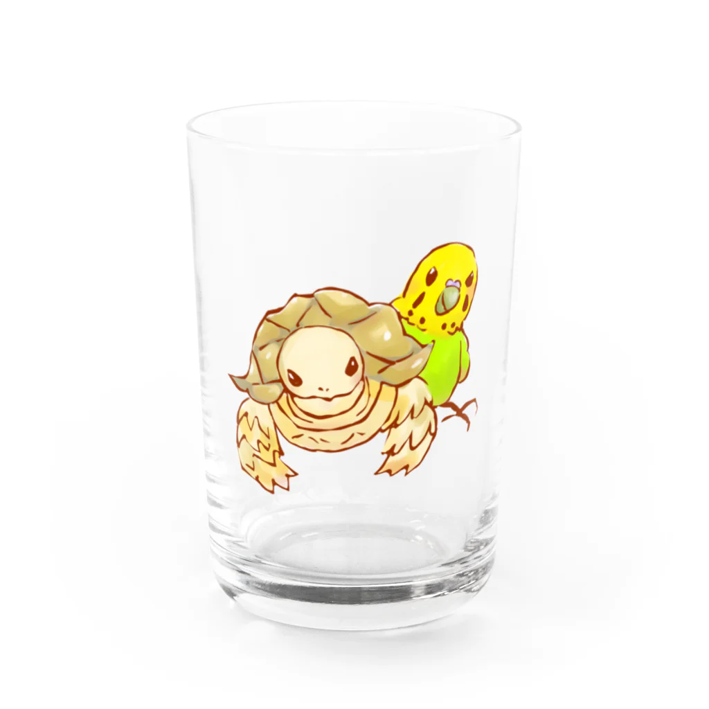 とくとくペット店のケヅメリクガメとセキセイインコ Water Glass :front