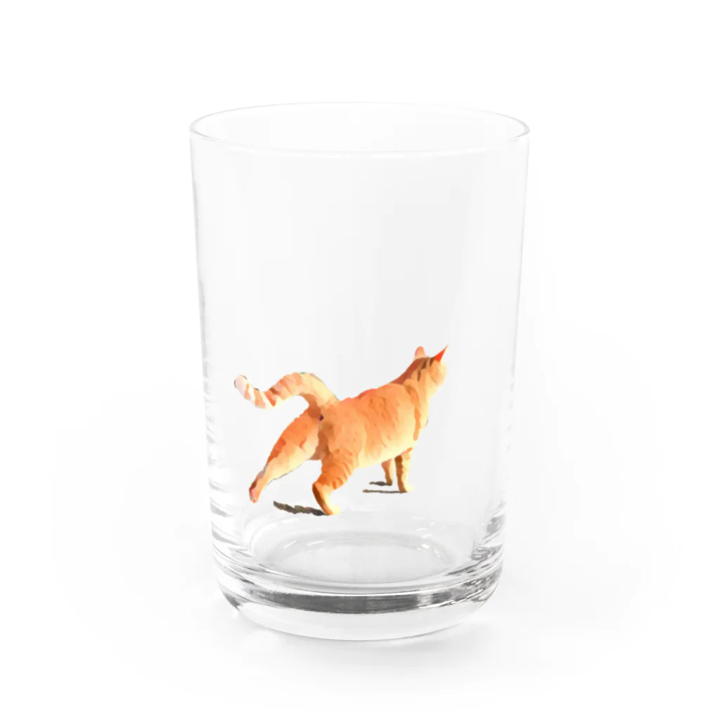 Sora_hの茶虎猫 Water Glass :front