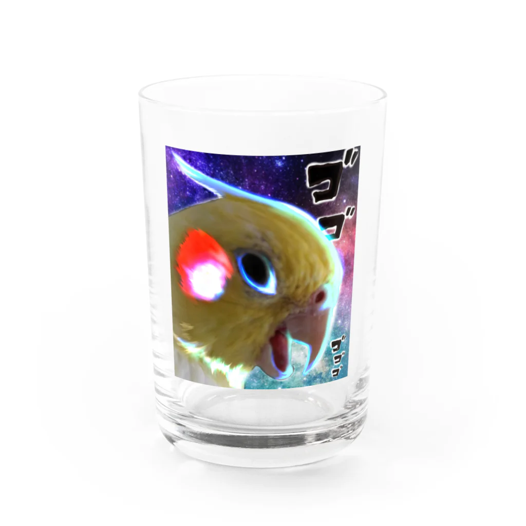 オカメインコのようなそうでないような・グッズ屋さんの宇宙の怒りインコ Water Glass :front