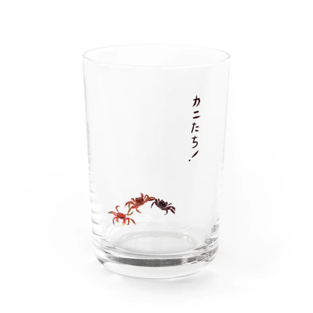 カニ小宇宙のカニたち！ Water Glass :front