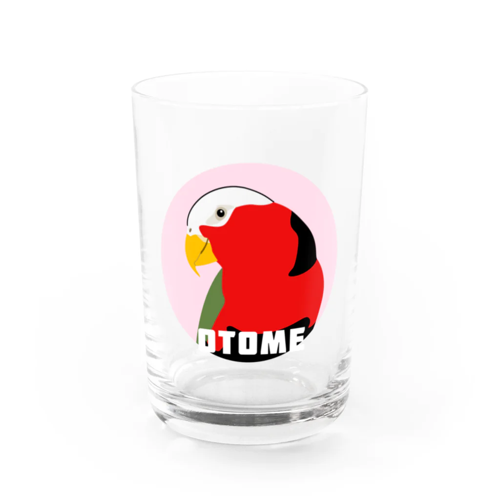 アルバトロスデザインのオトメズグロインコのヅラが出る出るグラス（ピンク） Water Glass :front