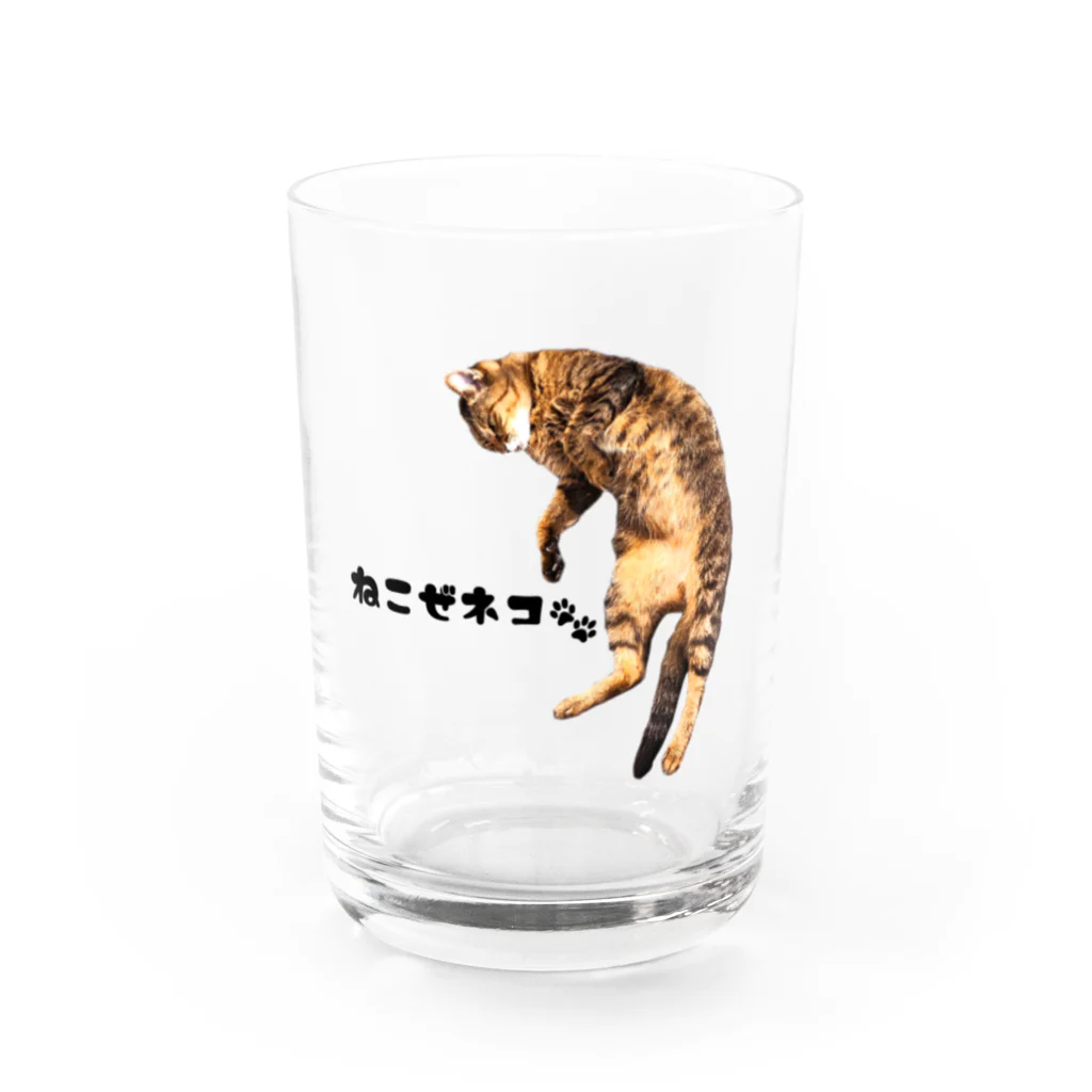 うさミミっミ(無駄に元気)のねこぜネコ Water Glass :front