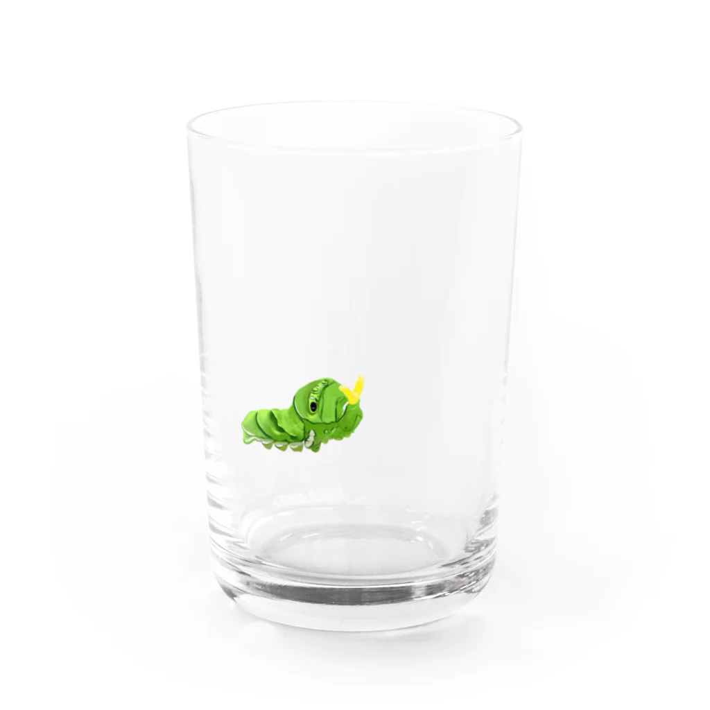 illust.nulのナミアゲハの幼虫 Water Glass :front