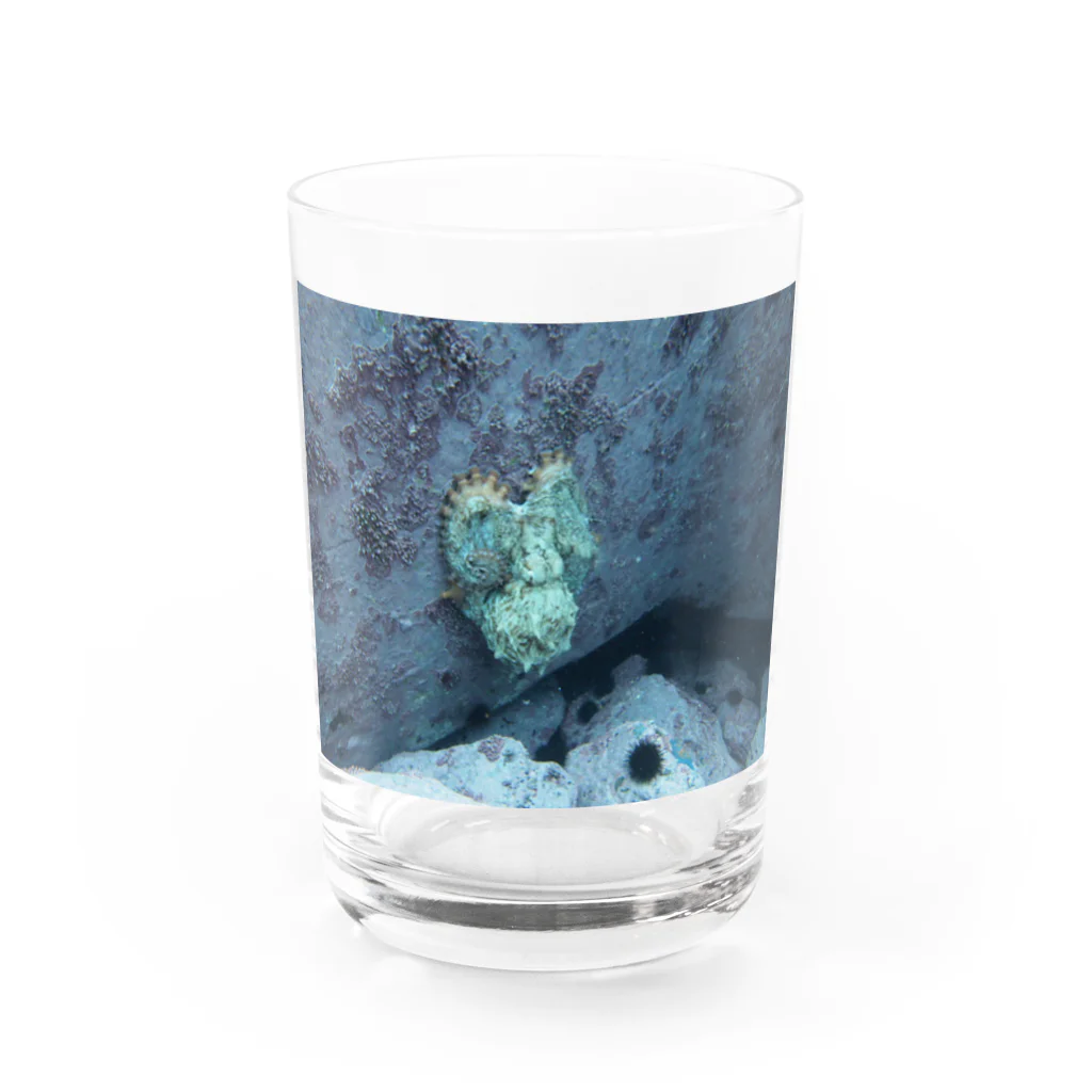 @om_filmzのタコ　青 Water Glass :front