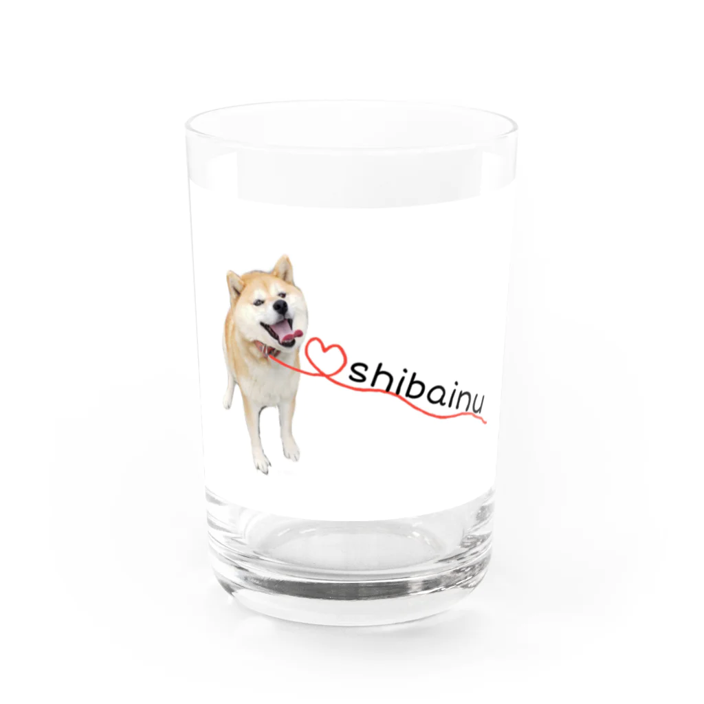 ゆりえ精神統一ちゅうの柴犬　ハナ Water Glass :front