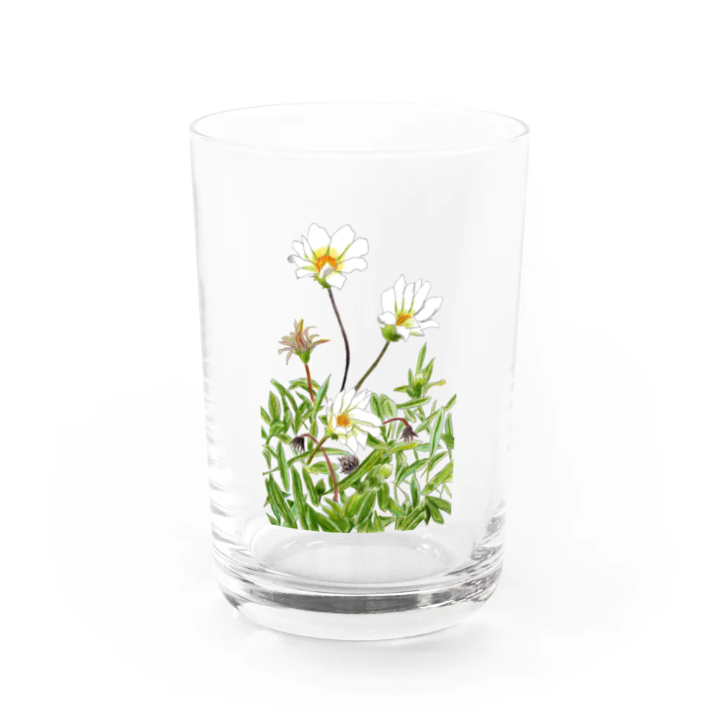 気ままに創作　よろず堂の花咲く小径①いろどり Water Glass :front