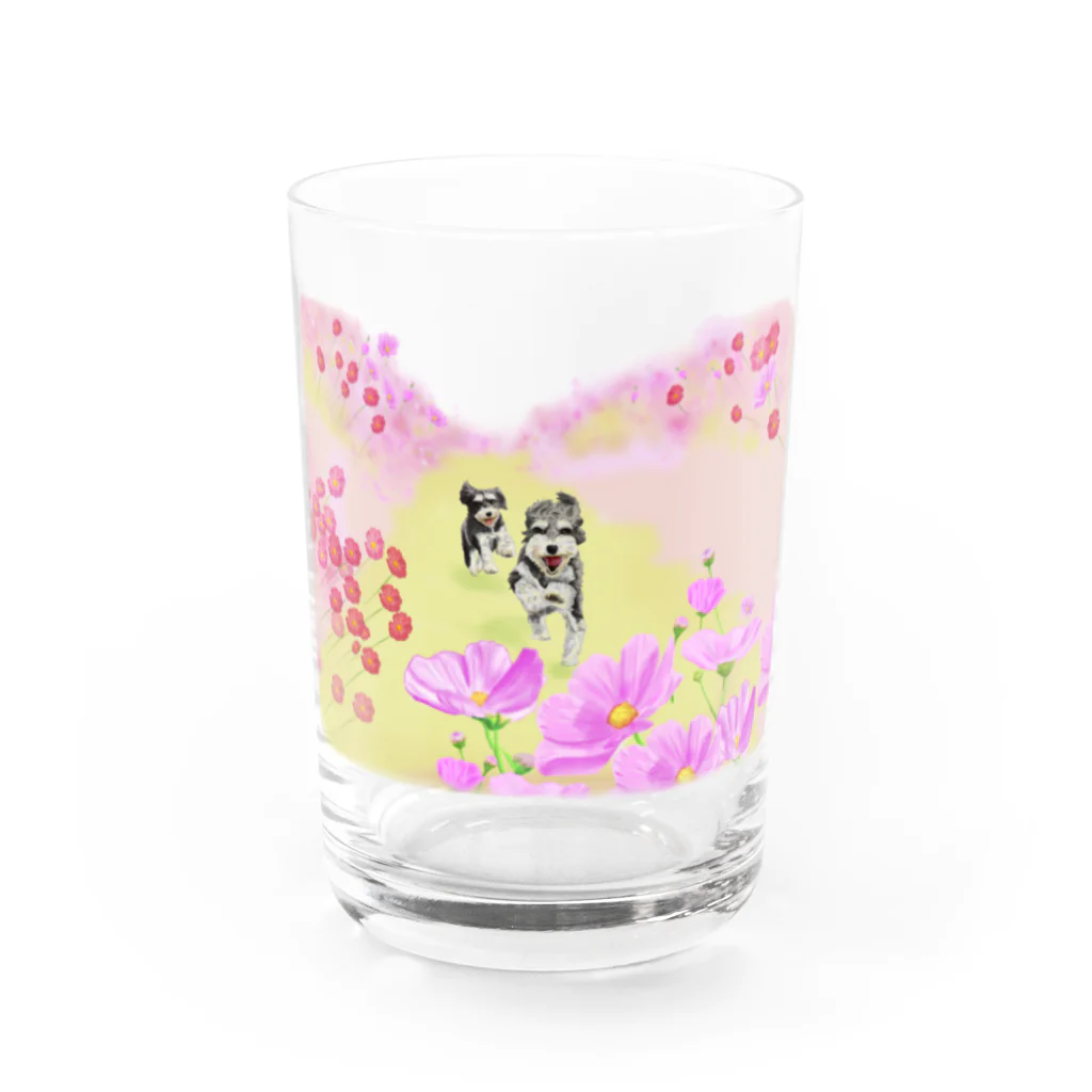 M-SUZURIのコスモスシュナ Water Glass :front