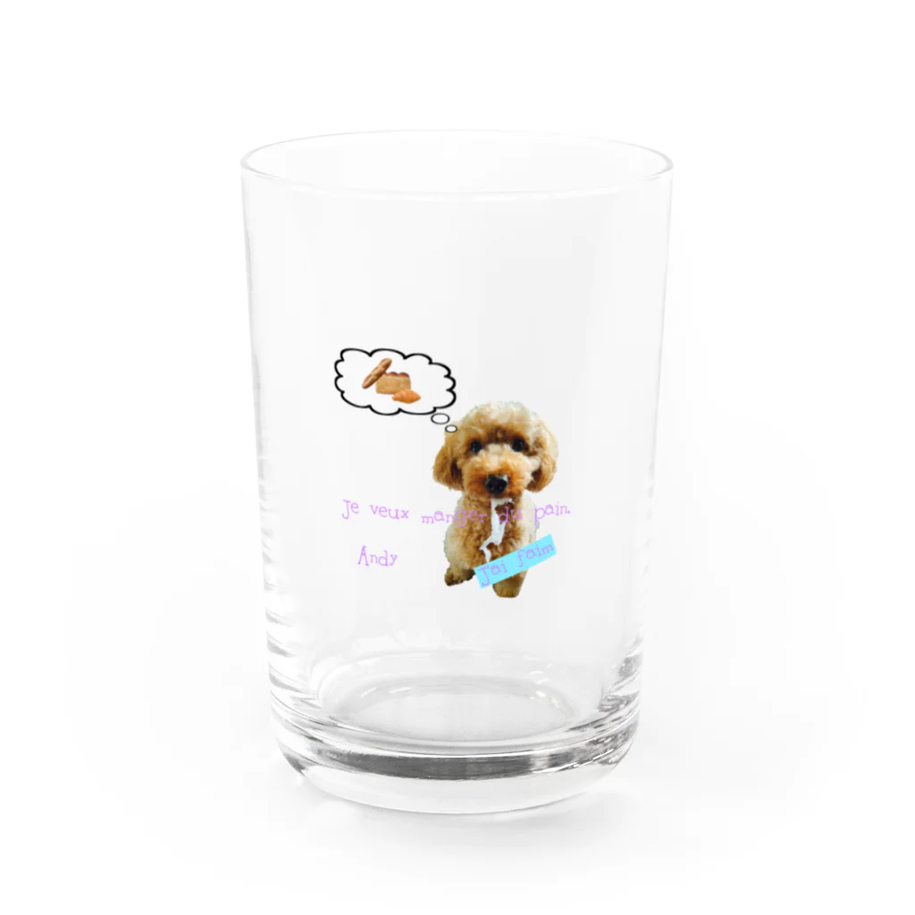 アンディ犬(トイプードル)だよのアンディだよ！ Water Glass :front