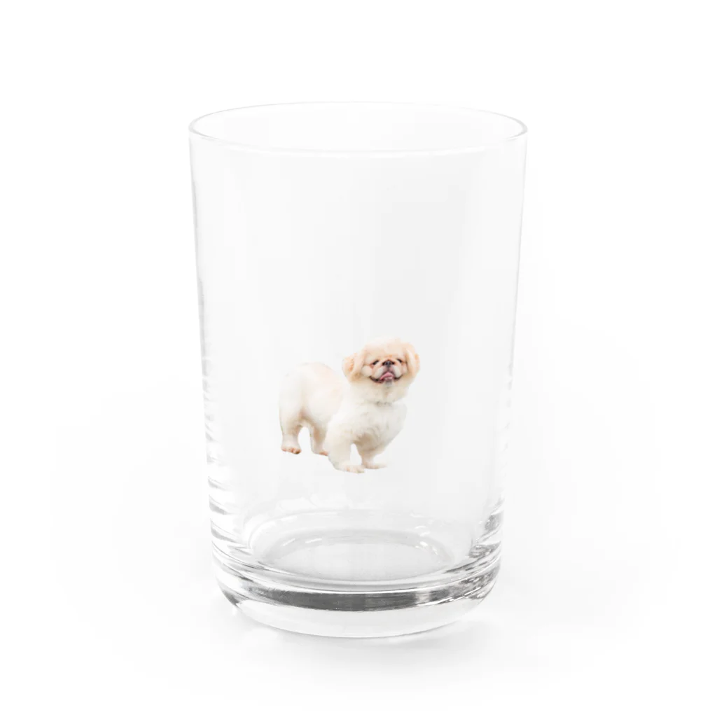 ちゃちゃまる　by来栖うさこのちゃちゃまるグラス Water Glass :front