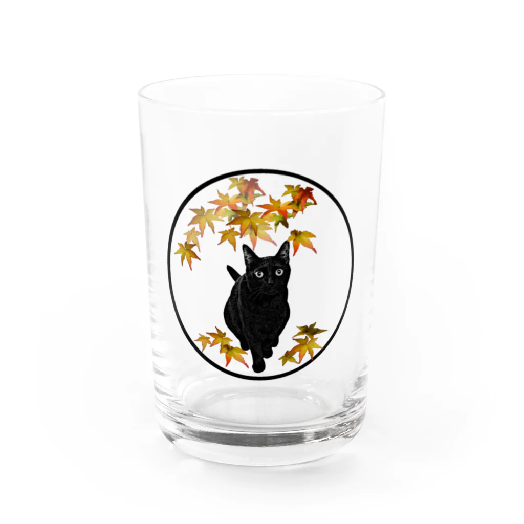 マロマロのKURONEKO to MOMiji Water Glass :front